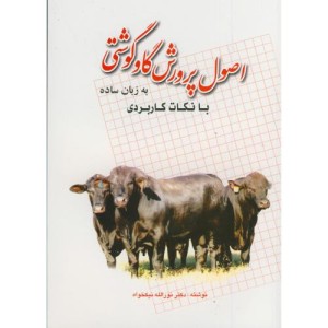 اصول پرورش گاو گوشتی به زبان ساده با نکات کاربردی