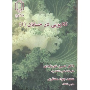 کتاب تکاپویی در حسابان 1