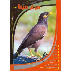 کتاب مرغ مینا نشر فرهنگ جامع