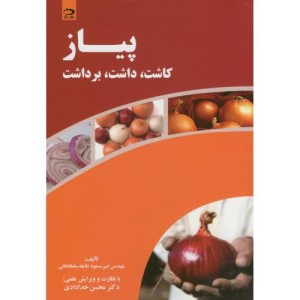 پیاز کاشت
