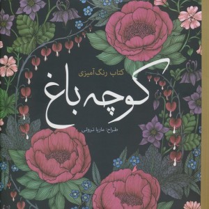 رنگ آمیزی بزرگسالان کوچه باغ