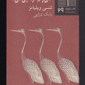 کتاب کوچک 29 نمی‎دونم ‎فردا چی ‎می‎شه