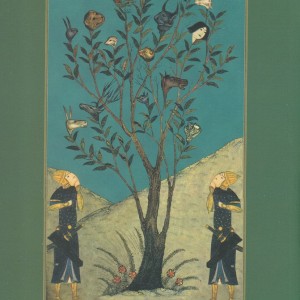 ریشه یابی درخت کهن