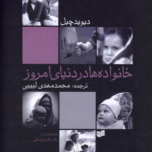 خانواده ها در دنیای امروز - دیوید چیل
