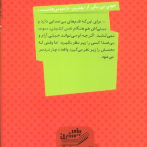 جونی بی و جاسوس بازی