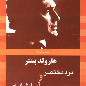 هارولد پینتر 2 درد مختصر و آسایشگاه