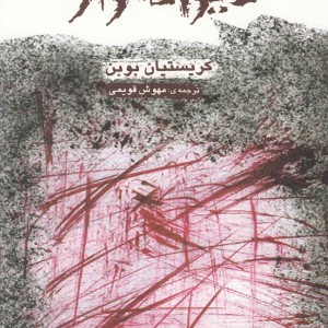 دیوانه وار