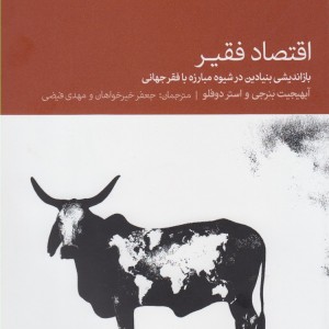 اقتصاد فقیر