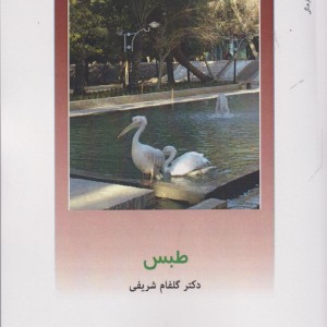 از ایران چه می دانم 146 طبس