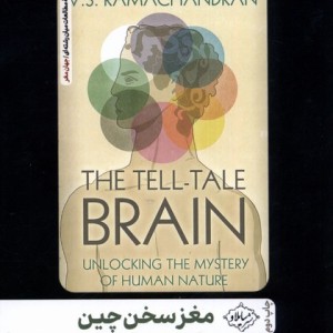 مغز سخن چین