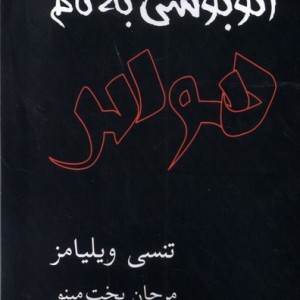 اتوبوسی به نام هوس نمایشنامه