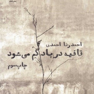 قافیه در باد گم می شود - احمدرضا احمدی