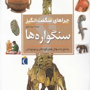 کتاب چراهای شگفت انگیز سنگواره ها 181827