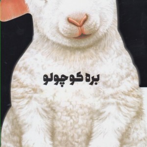 کتاب داستان زندگی بره کوچولو اثر جیووانی کاویزل
