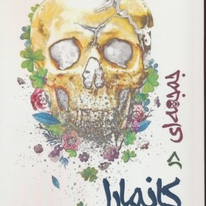 جمجمه ای در کانمارا - مارتین مک دونا