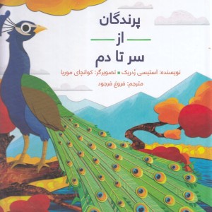 پرندگان از سر تا دم سلفون