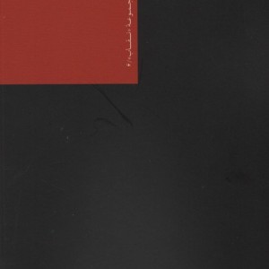 مگره از خود دفاع می کند