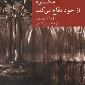 مگره از خود دفاع می کند