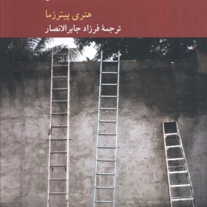 نظریه معرفت در پدیدار شناسی