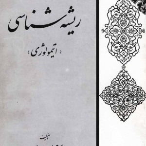 ریشه شناسی اتیمولوژی