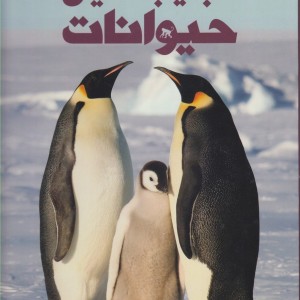 کتاب عجایب دنیای حیوانات