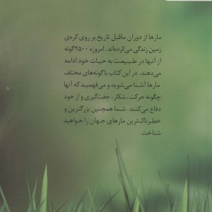 دنیای هیجان انگیز مارها