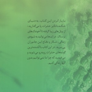 دنیای هیجان انگیز 1 حشرات