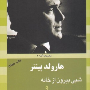 هارولد پینتر شبی بیرون از خانه