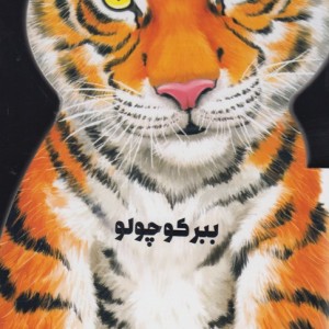 کتاب داستان زندگی خرگوش کوچولو اثر جیووانی کاویزل