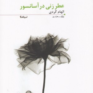 پازل شعر امروز 118 عطر زنی در آسانسور