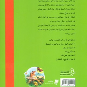 حادثه ی خطرناک و چهار داستان دیگر