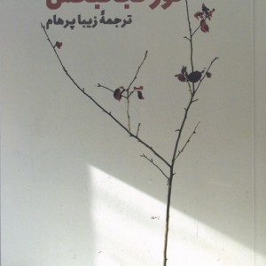 نور نجاتبخش