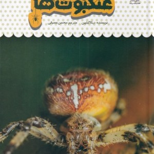 یک فنجان دانستنی درباره ی عنکبوت ها