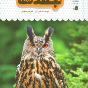 یک فنجان دانستنی درباره ی جغدها