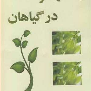 کتاب رشد و نمو در گیاهان