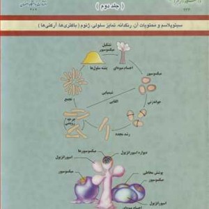 کتاب زیست شناسی سلولی و ملکولی باکتری ها 2