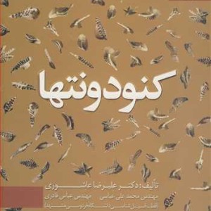 کنودونتها