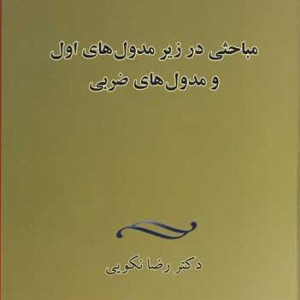 کتاب مباحثی در زیرمدول های اول و مدول های ضربی