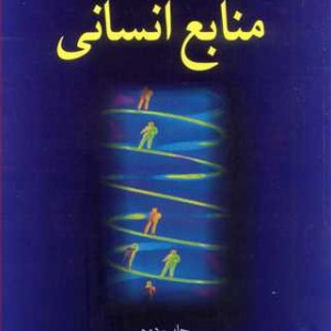 ارزیابی عملکرد منابع انسانی الگوی عملی پیاده سازی نظام ارزیابی عملکرد منابع انسانی در سازمان ها