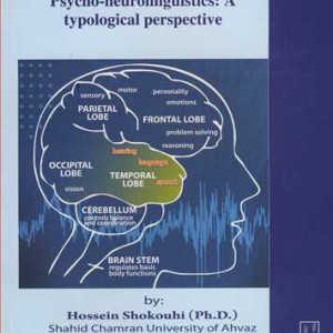 A HANDBOOK OF BASIC CONCEPTS IN PSYCHO NEUROLINGUISTICS A TYPOLOGICAL PERSPECTIV