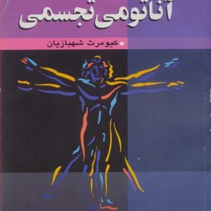 آناتومی تجسمی