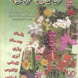 گلکاری نشر آییژ