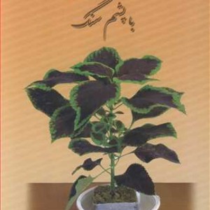کتاب کشت هیدروپونیک با پشم سنگ