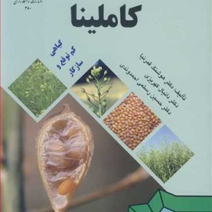 کاملینا گیاهی کم توقع و سازگار