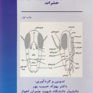 کتاب جنین شناسی و مرفولوژی خارجی حشرات