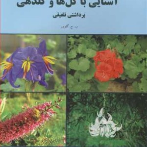 کتاب آشنایی باگل ها وگلدهی برداشتی تلفیقی
