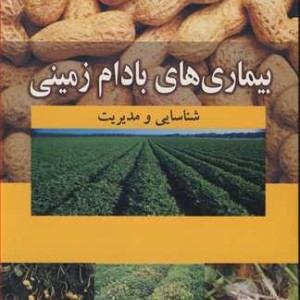 بیماری های بادام زمینی شناسایی و مدیریت