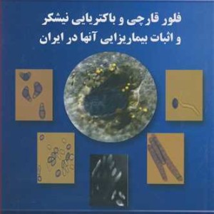 فلور قارچی و باکتریایی نیشکر و اثبات بیماریزایی آنها در ایران