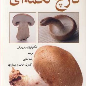 قارچ تکمه ای