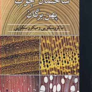 ساختمان چوب پهن برگان ماکروسکوپی و میکروسکوپی